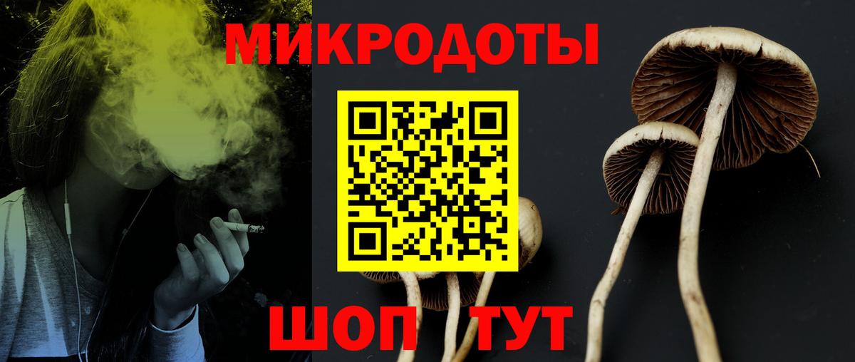 Галлюциногенные грибы MAGIC MUSHROOMS Владивосток